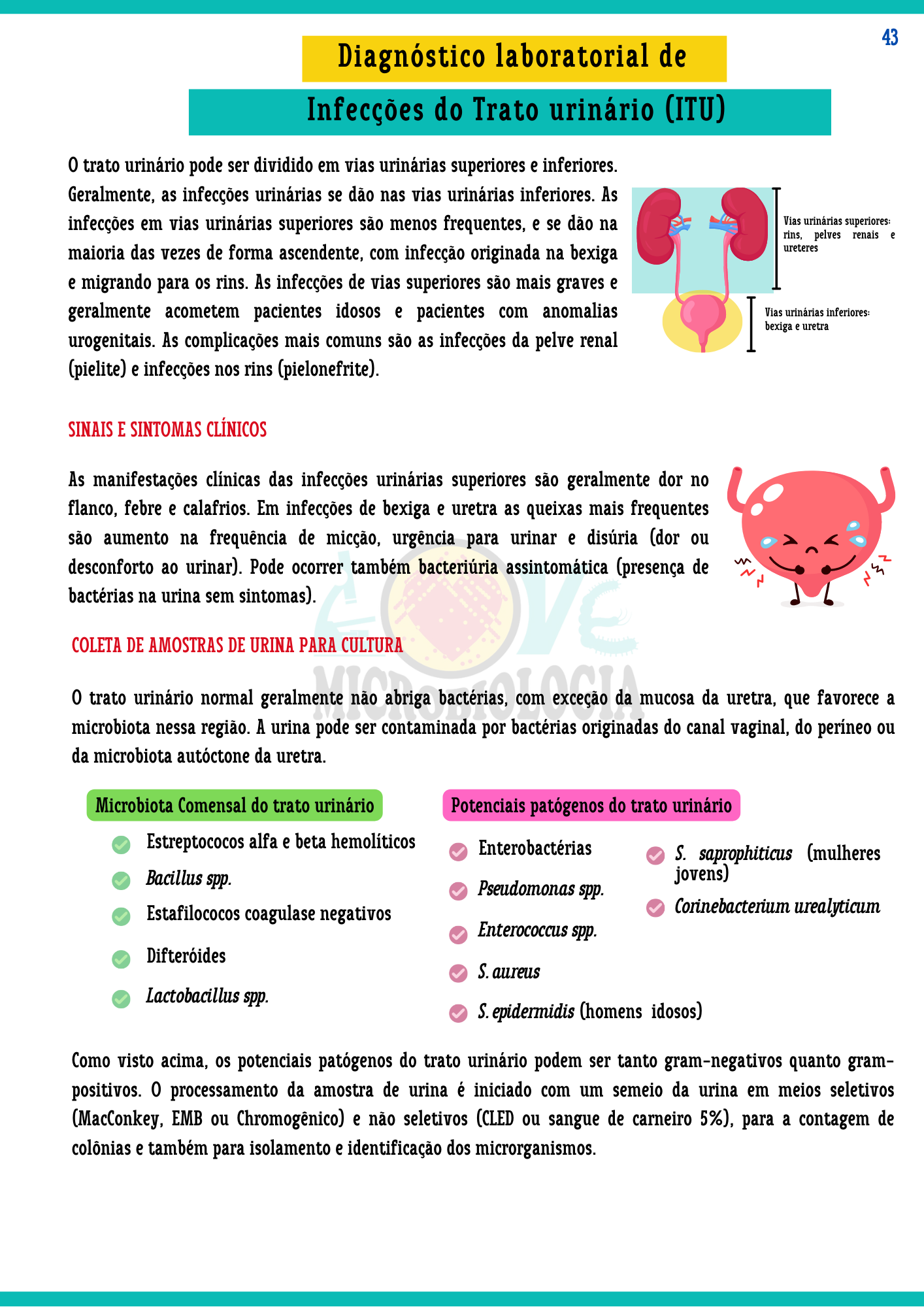 Resumos de Microbiologia Clínica (12)