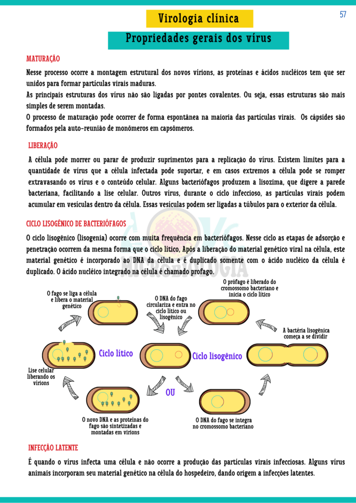 Resumos de Microbiologia Clínica (16)