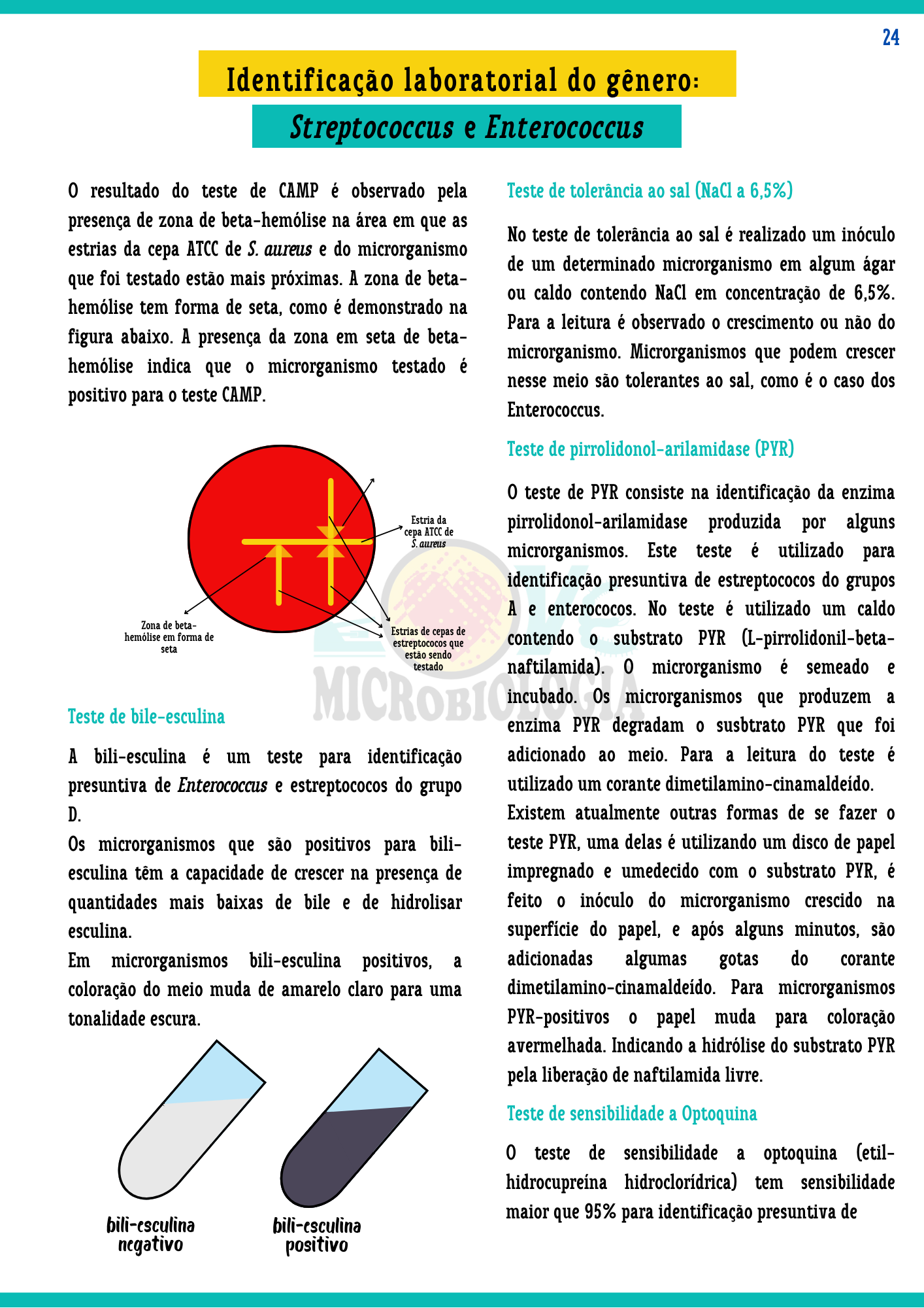 Resumos de Microbiologia Clínica (7)