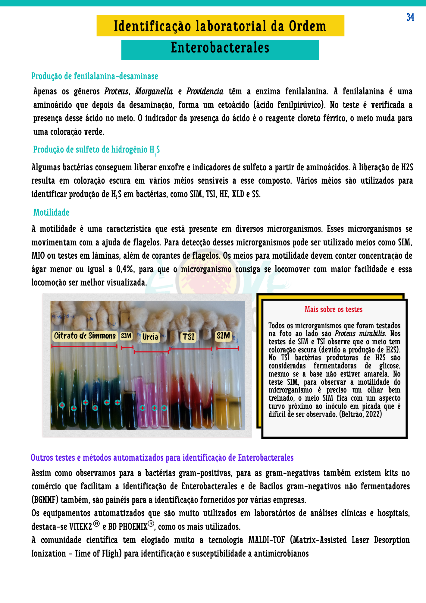 Resumos de Microbiologia Clínica (9)