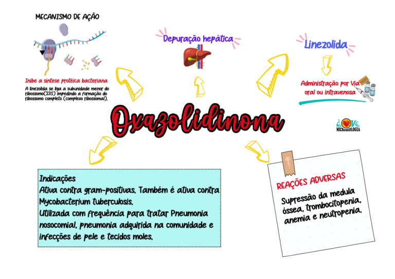 Mapas Mentais de Antibióticos - PDF padrão