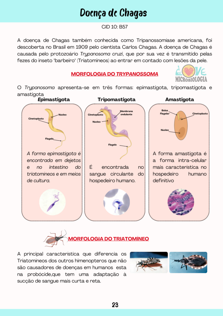 Resumos Parasitologia (6)
