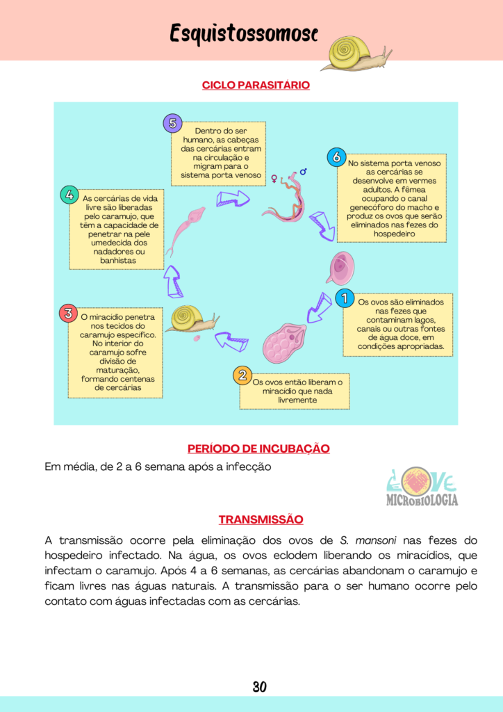 Resumos Parasitologia (9)