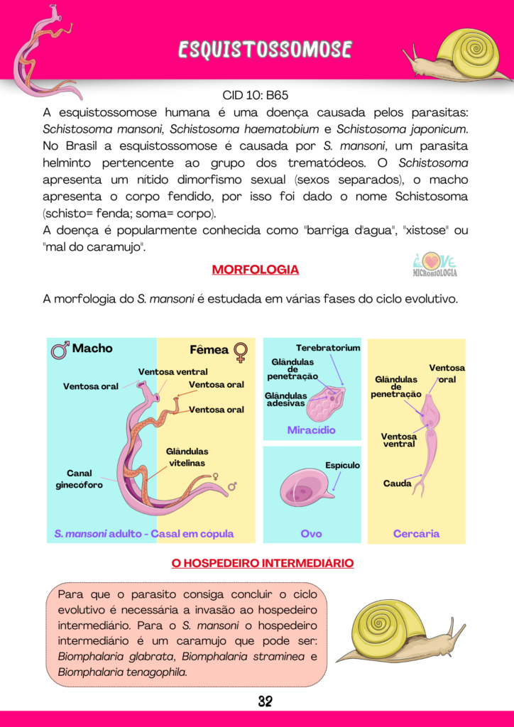 Resumos Parasitologia 2.0 (3)