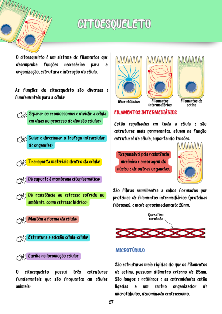 Resumos Biologia Celular e Molecular (3)
