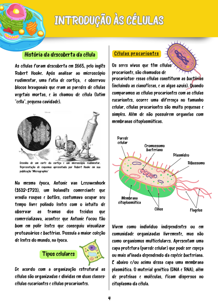 Resumos Biologia Celular e Molecular