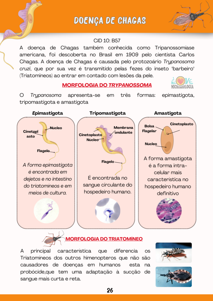 Resumos Parasitologia 2.0 (1)
