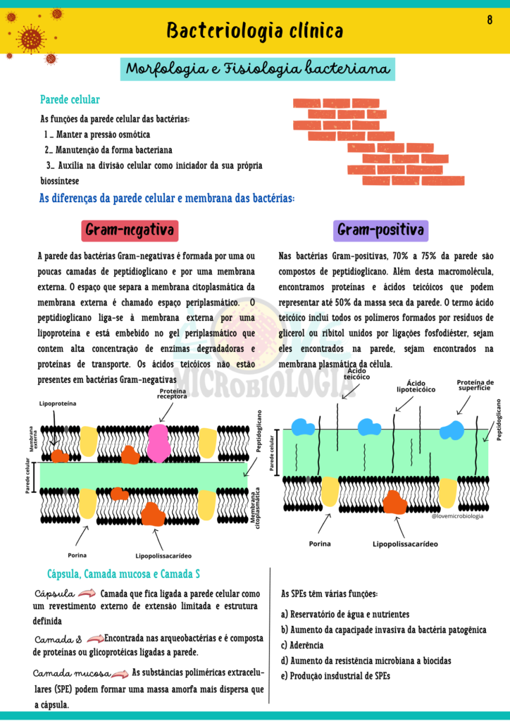 Resumos de Microbiologia Clínicas - Lovemicrobiologia - Atualizado (1)