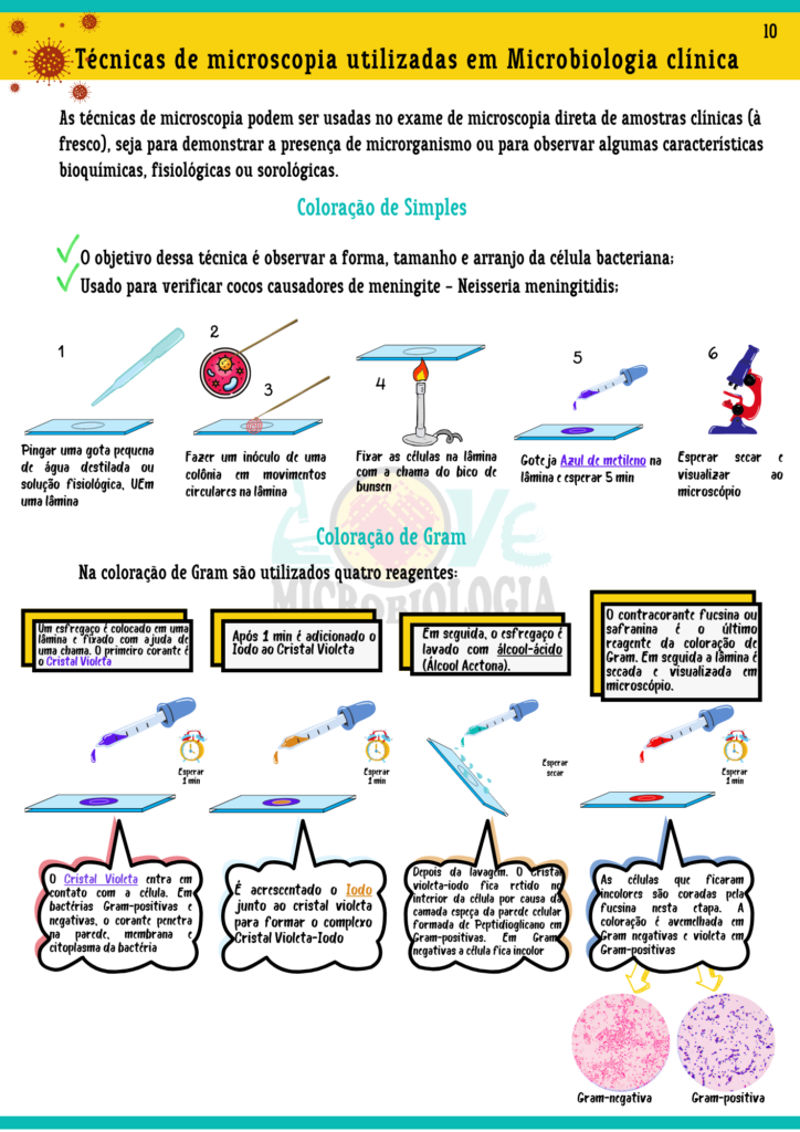 Resumos de Microbiologia Clínicas - Lovemicrobiologia - Atualizado (2)