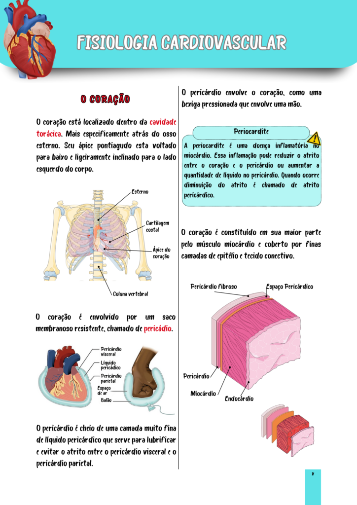 Fisiologia Cardológica