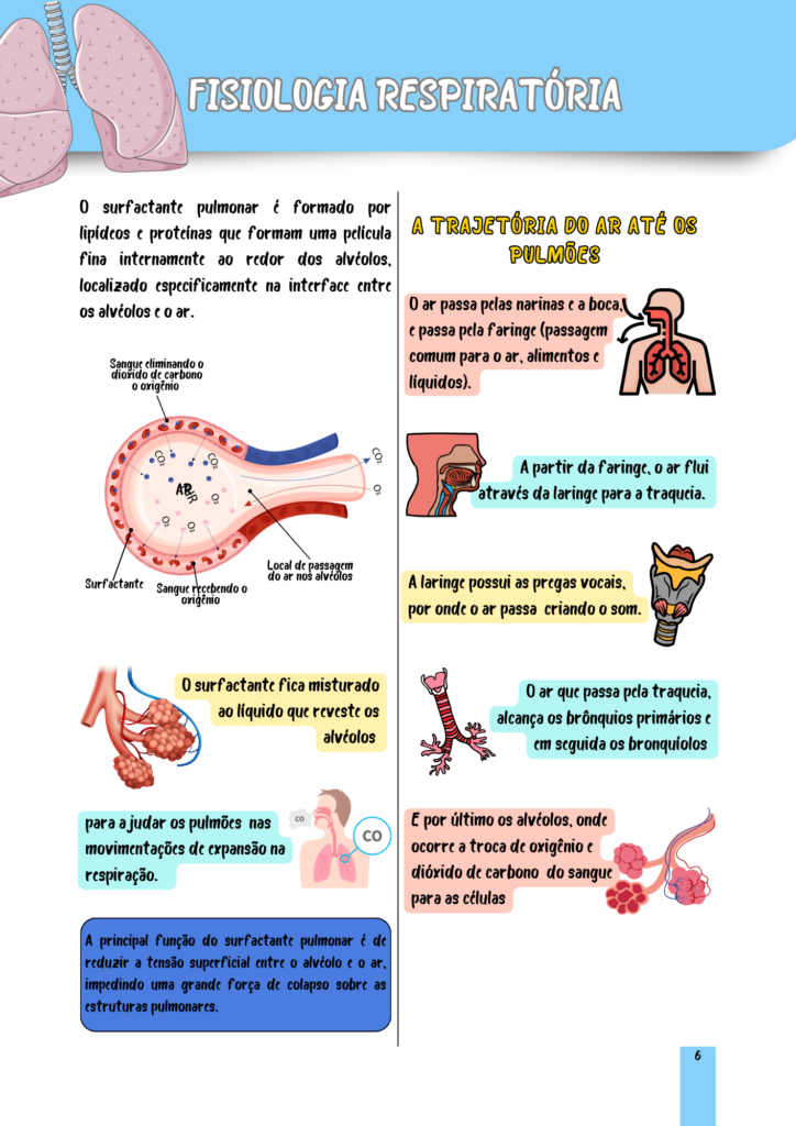 Fisiologia Humana (3)