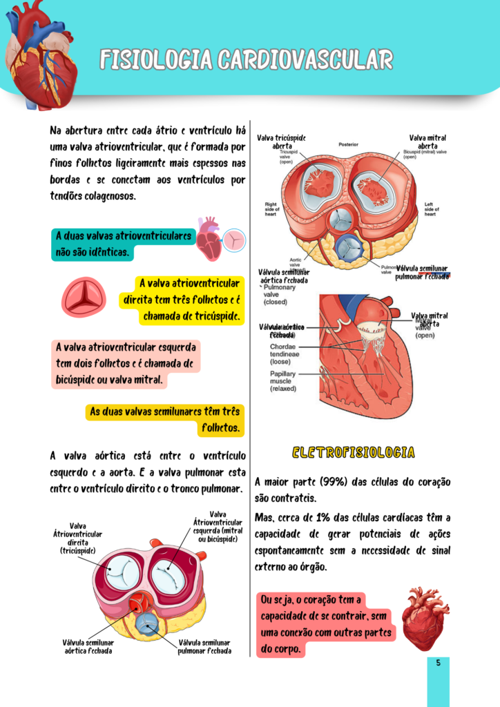 Fisiologia Humana (4)