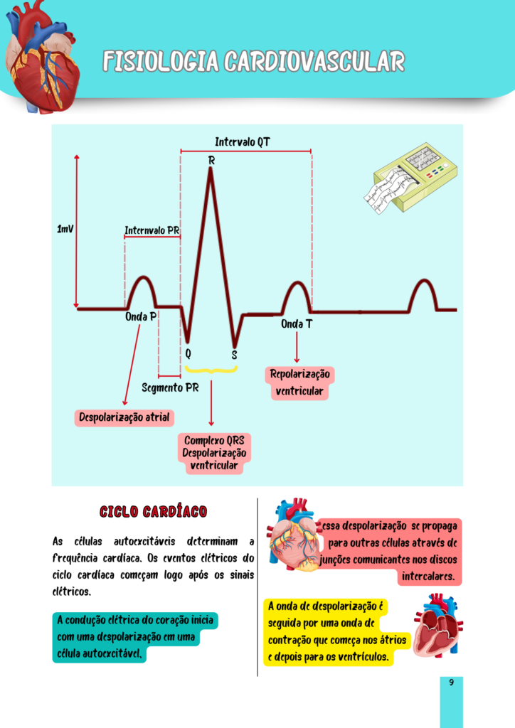 Fisiologia Humana (5)