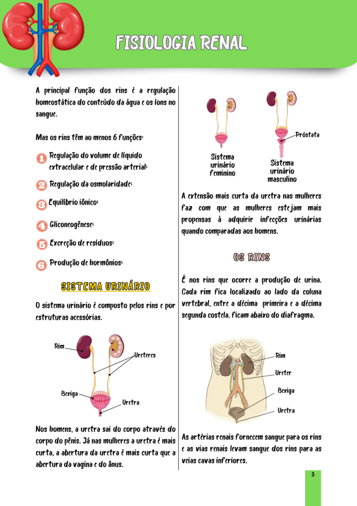 Fisiologia Renal (1)