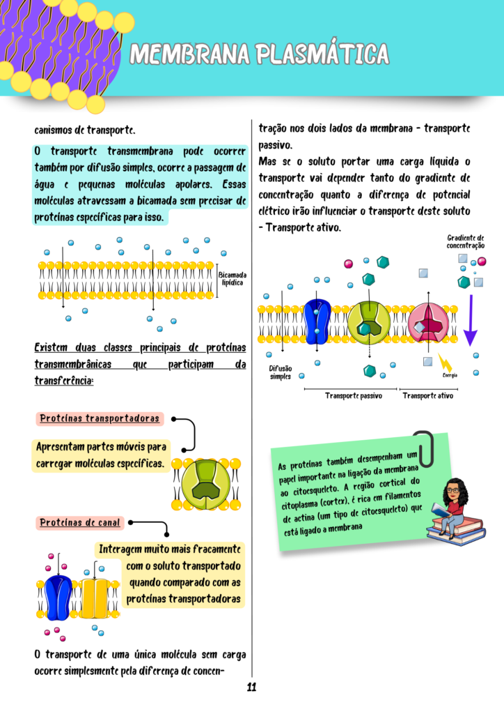 Resumos Biologia Celular e Molecular (1)