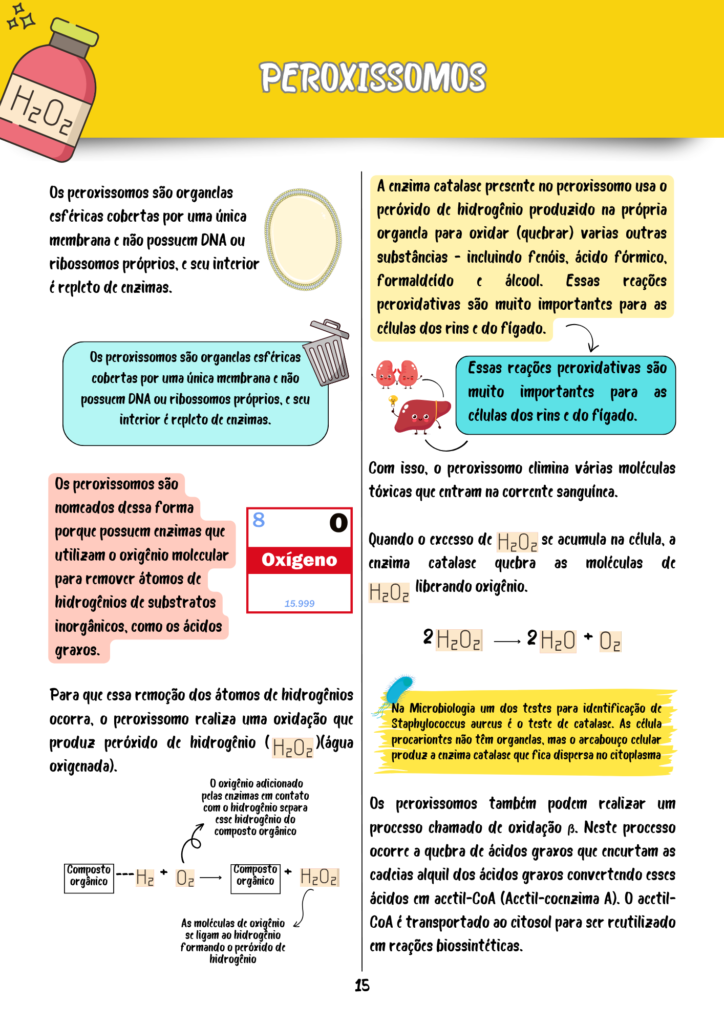 Resumos Biologia Celular e Molecular (2)