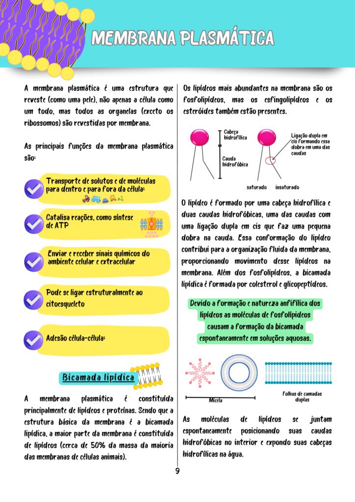 Resumos Biologia Celular e Molecular (4)