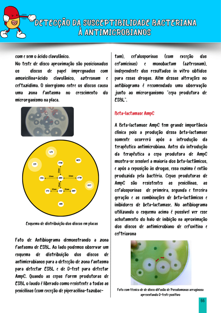 ANTIBIOGRAMA