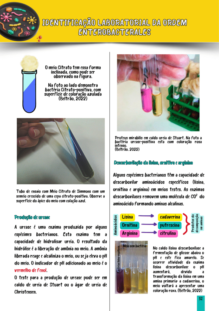 PÁGINA 2 IDENTIFICAÇÃO