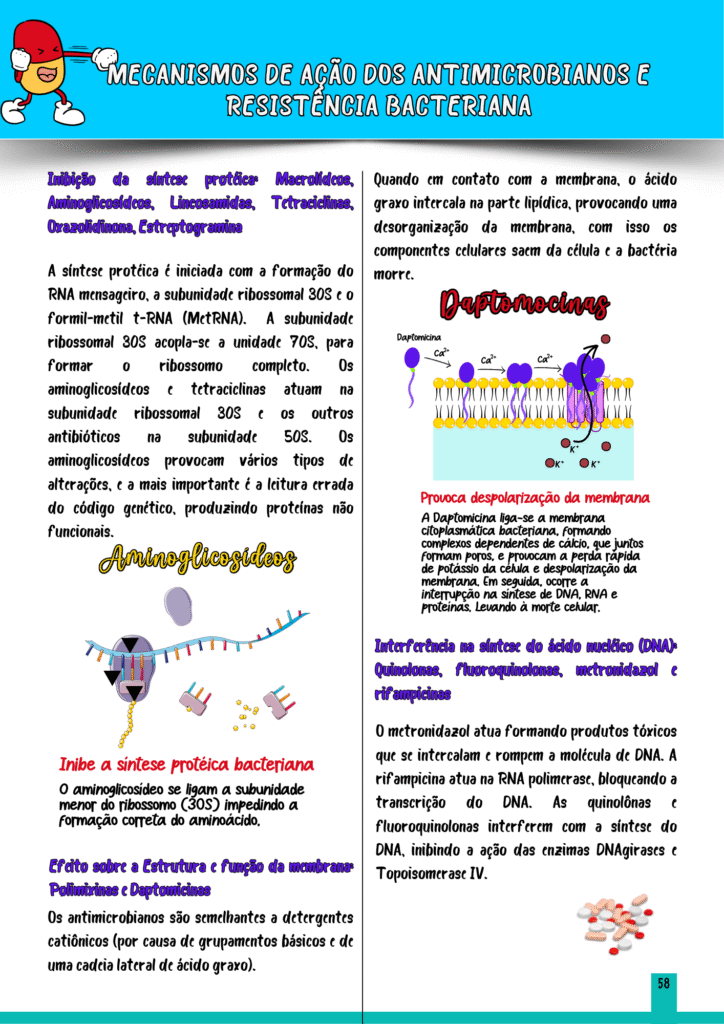 RESISTENCIA BACTERIANA