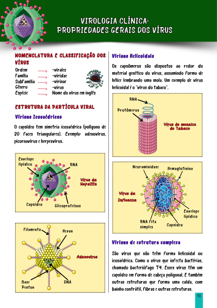 VIROLOGIA PÁGINA