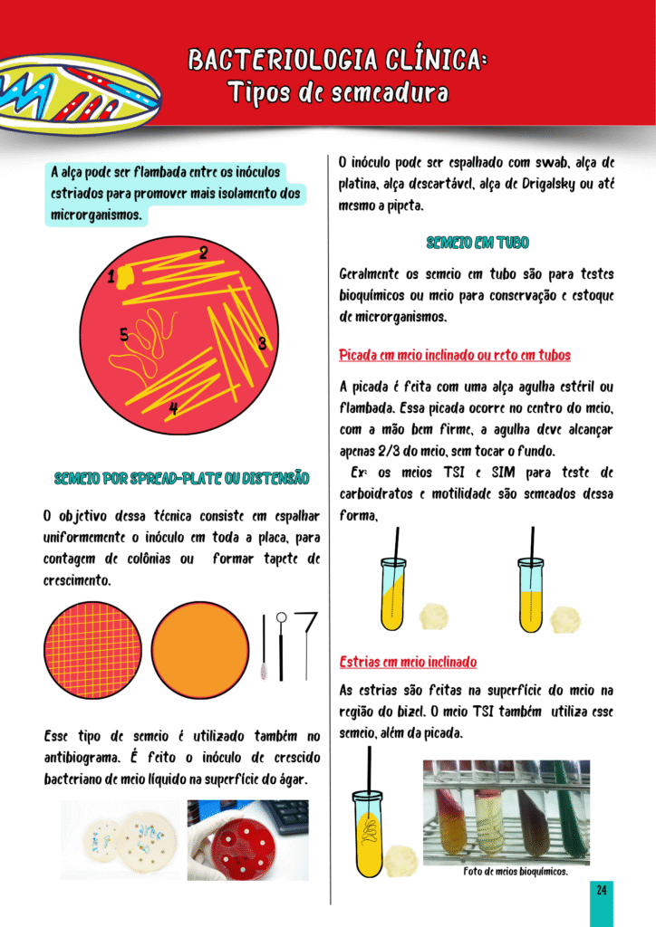tipos de semeadura